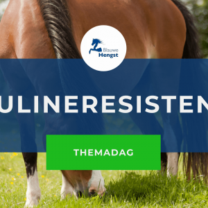Online cursus insuline resistentie paarden-min